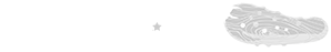 The Wooden Pickle